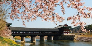 매거진 경주