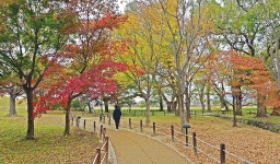 매거진 경주