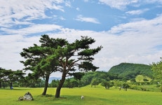 매거진 경주