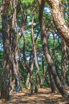 매거진 경주