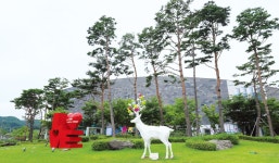 매거진 경주