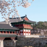 공영주차장 준공, 순환 노선 신설황리단길에서 출발하는 경주 버스 여행 – 아름다운 경주이야기   공영주차장 준공, 순환 노선 신설황리단길에서... 
