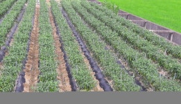 보도뉴스 | 경상남도  수산안전기술원