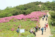 경남산림휴양