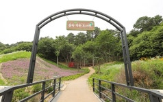 발걸음에 힘을 실어주는 풍경