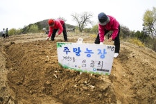 보도자료-계양구 “계양실버농장 개장” 내용 | 계양구청>정보공개>행정소식