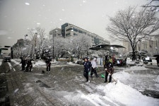 계산역 지하승강장 | 보도자료-계양구, 전직원 동원 횡단보도 및 버스승강장 등 제설작업 실시 내용 | 구정홍보관>계양뉴스