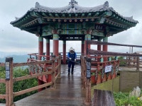 공지사항-계양산 러브버그 대량 발생에 친환경 방제로 총력 대응 내용 | 계양구청>정보공개>행정소식