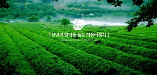 하동녹차