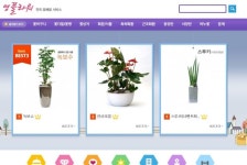 해병닷컴 - 영플라워 - 전국 꽃배달 서비스