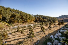 HOME > 복지정보 > 어르신 > 함안하늘공원 함안하늘공원 | 분야포털