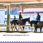 HOME > 문화/체육/승마 > 승마공원 > 시설안내 > 함안군 승마공원 분야포털