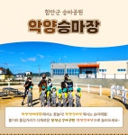 HOME > 문화/체육/승마 > 승마공원 > 프로그램안내 > 악양승마장 악양승마장 | 분야포털