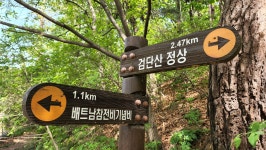자유게시판 - 하남시청