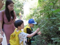 홈 > 교육·문화행사 > 교육 신청 > 초등		([주말 가족 교육]자연 속 한글 탐험(10월, 11월))			 | 국립한글박물관 NATIONAL HANGEUL MUSEUM