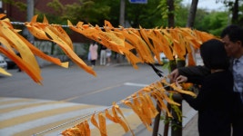 안산, 2014년 4월 :: 뒤늦은 고백들 안산, 2014년 4월