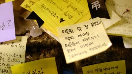 안산, 2014년 4월 :: 뒤늦은 고백들 안산, 2014년 4월