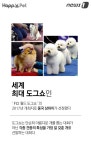 [펫카드] 개 먹는 나라에서 도그쇼 가능한가요? - 사람과 동물의 행복한 동행 해피펫 [펫카드] 개 먹는 나라에서 도그쇼 가능한가요?