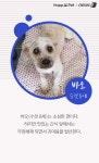 [펫카드] 포근하개가 만난 유기견을 소개합니다 - 사람과 동물의 행복한 동행 해피펫 [펫카드] 포근하개가 만난 유기견을 소개합니다