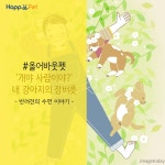 [올어바웃펫] 개야 사람이야? 내 강아지의 잠버릇 - 사람과 동물의 행복한 동행 해피펫 [올어바웃펫] 개야 사람이야? 내 강아지의 잠버릇