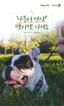 [펫카드] 펫티켓 나부터 먼저 지켜주세요 - 사람과 동물의 행복한 동행 해피펫 [펫카드] 펫티켓 나부터 먼저 지켜주세요