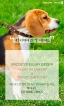 [펫카드] 펫티켓 나부터 먼저 지켜주세요 - 사람과 동물의 행복한 동행 해피펫 [펫카드] 펫티켓 나부터 먼저 지켜주세요