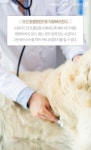 강아지들에겐 가장 위험한 기념일 왜? - 사람과 동물의 행복한 동행 해피펫 [펫카드] 밸런타인데이, 강아지들에겐 가장 위험한 기념일 왜?