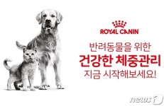 반려동물 체중 관리해주세요 로얄캐닌, 웰빙 캠페인 이벤트 - 사람과 동물의 행복한 동행 해피펫 반려동물 체중 관리해주세요 로얄캐닌, 웰빙... 