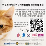 반려묘 만성신장병 관리 어떻게…한국고양이수의사회, 설문조사한다 - 사람과 동물의 행복한 동행 해피펫 반려묘 만성신장병 관리 어떻게... 