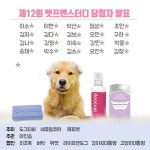 제12회 펫프렌스터디 : 반려동물 건강을 위한 기초미용과 상식 - 사람과 동물의 행복한 동행 해피펫 제12회 펫프렌스터디 :  반려동물 건강을... 