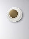 FOSCARINI 포스카리니 Bahia Wall/Ceiling LED 화이트 / 골드 FO 196005L-71 - 해브어 FOSCARINI 포스카리니 Bahia Wall/Ceiling LED... 