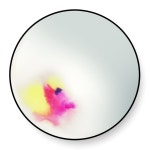 쁘띠 프리튀르 - Francis Wall 거울 Petite Friture - Francis Wall Mirror 07833 - 해브어 쁘띠 프리튀르 - Francis Wall 거울... 