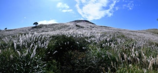 황매산 군립공원