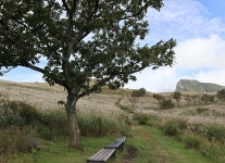 시설안내 | 황매산 군립공원