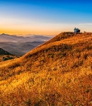 억새축제 소개 | 황매산 군립공원