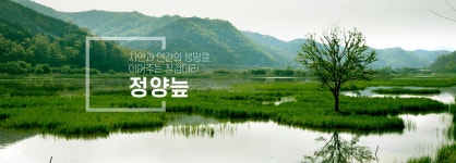 정양늪