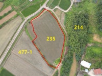 공유재산 현황 | 합천군