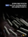 철수야족발먹자 | [카드뉴스]철수야 김치 먹자! 탈모 예방해야지! - 헬스컨슈머 [카드뉴스]철수야 김치 먹자! 탈모 예방해야지!