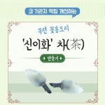 코‧기관지 막힘 개선하는 목련 꽃봉오리 ‘신이화’ 차(茶) 만들기 - 힐팁 코‧기관지 막힘 개선하는 목련 꽃봉오리 ‘신이화’ 차(茶) 만들기