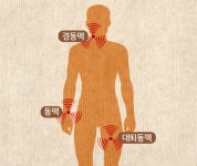 한의학 궁금증 풀이 ⑪ ‘맥진’으로 알 수 있는 건강 상태 - 힐팁 한의학 궁금증 풀이 ⑪ ‘맥진’으로 알 수 있는 건강 상태