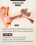 ‘외이도 폐쇄증’ 아이의 청력 회복 - 힐팁 ‘외이도 폐쇄증’ 아이의 청력 회복