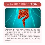 전신 건강의 출발점 ‘장(腸) 건강’ - 힐팁 전신 건강의 출발점 ‘장(腸) 건강’