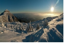 지금여기 - 미내사 클럽