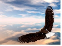 지금여기 - 미내사 클럽