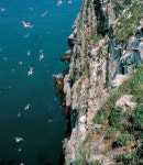 국가유산포털 | 유형분류