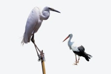 국가유산포털 | 유형분류