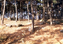 국가유산이미지 | 삼거동고인돌군 삼거동고인돌군