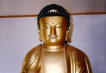 국가유산이미지 | 도리사목조아미타여래좌상 도리사목조아미타여래좌상