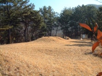 국가유산이미지 | 어연.함안이씨어변갑묘 어연.함안이씨어변갑묘