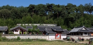 국가유산이미지 | 하동 옥산서원_마을 입구에서 본 옥산서원 (촬영년도 : 2015년) 하동 옥산서원_마을 입구에서 본 옥산서원 (촬영년도 : 2015년)